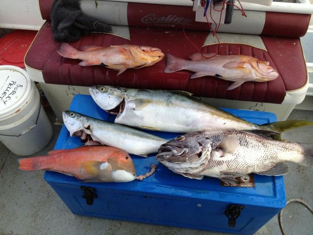 Todays bounty Todays bounty